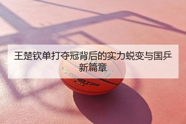 王楚钦单打夺冠背后的实力蜕变与国乒新篇章